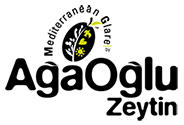 Ağaoğlu Zeytin